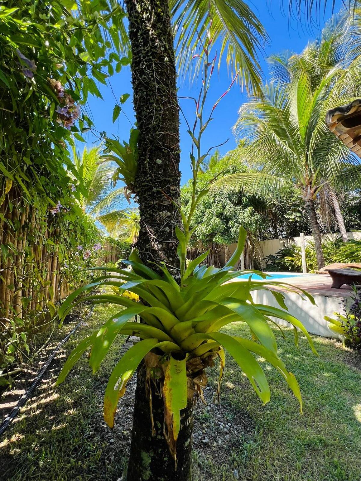 Holiday home Brisa Dos Corais, Arraial D'ajuda